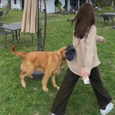 来生再见未名的我们