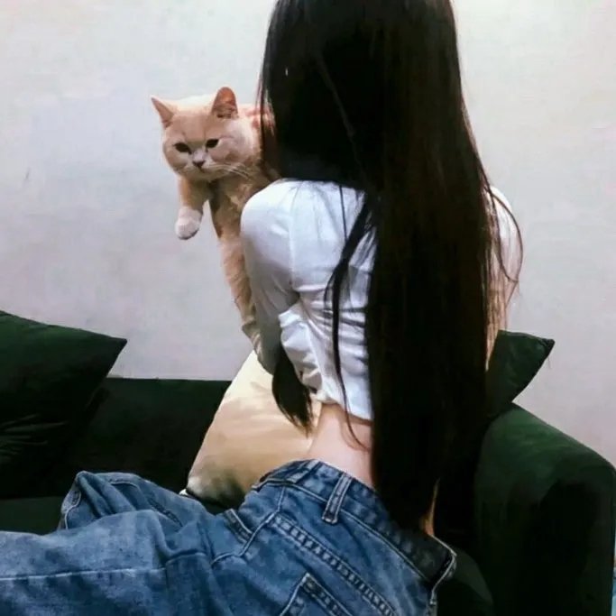 凶残搜索